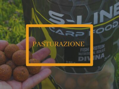 Bottone Pastura Fish Protein S-Line Carp Food